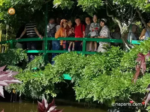 На пруду в Живерни
